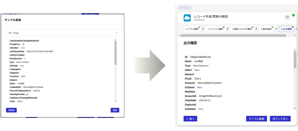 Salesforceの出力確認画像1